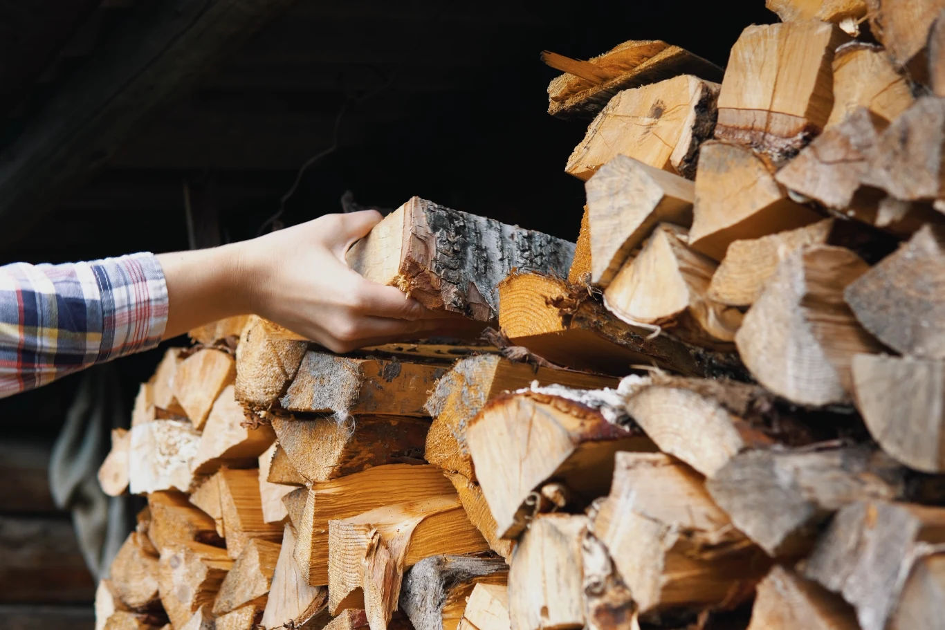 Gdzie i jak odpowiednio przechowywać drewno kominkowe?
