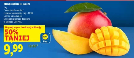 Манго Plus-Plus