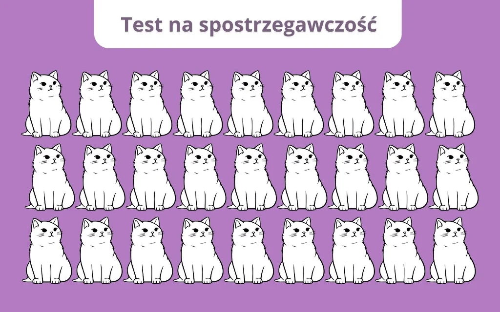 Test na spostrzegawczość: Który kot jest inny? 