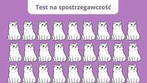 Poranny trening dla mózgu: Różnica, którą mało kto dostrzega
