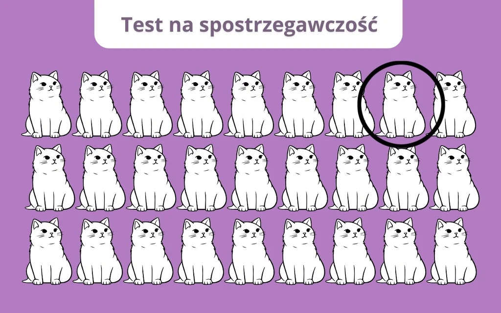 Ilustracja z rysunkowymi kotami ustawionymi w trzech rzędach na fioletowym tle, jeden z kotów w górnym prawym rogu został oznaczony grubym czarnym okręgiem, na górze znajduje się napis Test na spostrzegawczość.