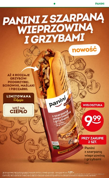 Panini