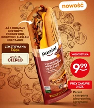 Panini
