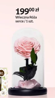 Róża Empik