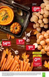 Hity cenowe dla każdego - Stokrotka Supermarket