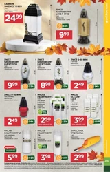 Hity cenowe dla każdego - Stokrotka Supermarket