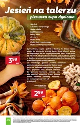 Oferta specjalna na wrzesień - Stokrotka Market