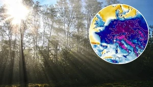 Prognoza długoterminowa w Polsce