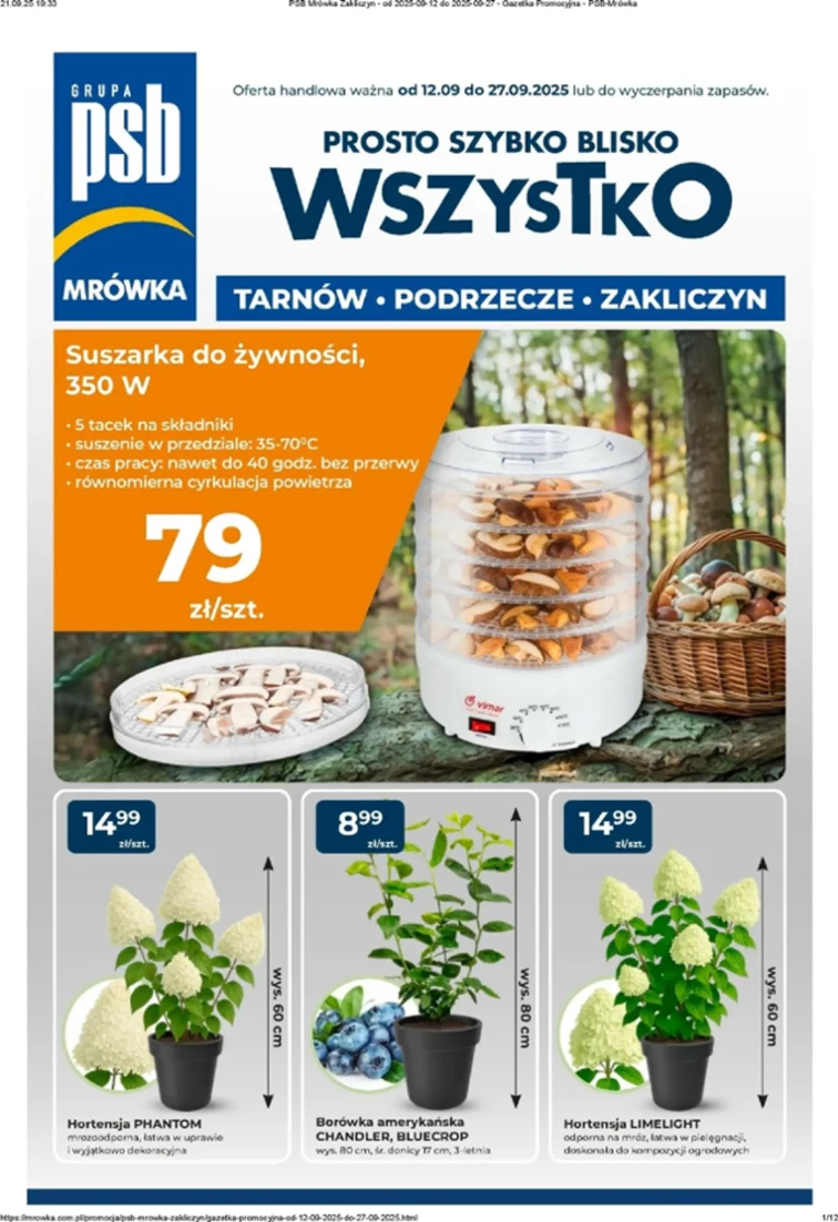 leaflet page preview image