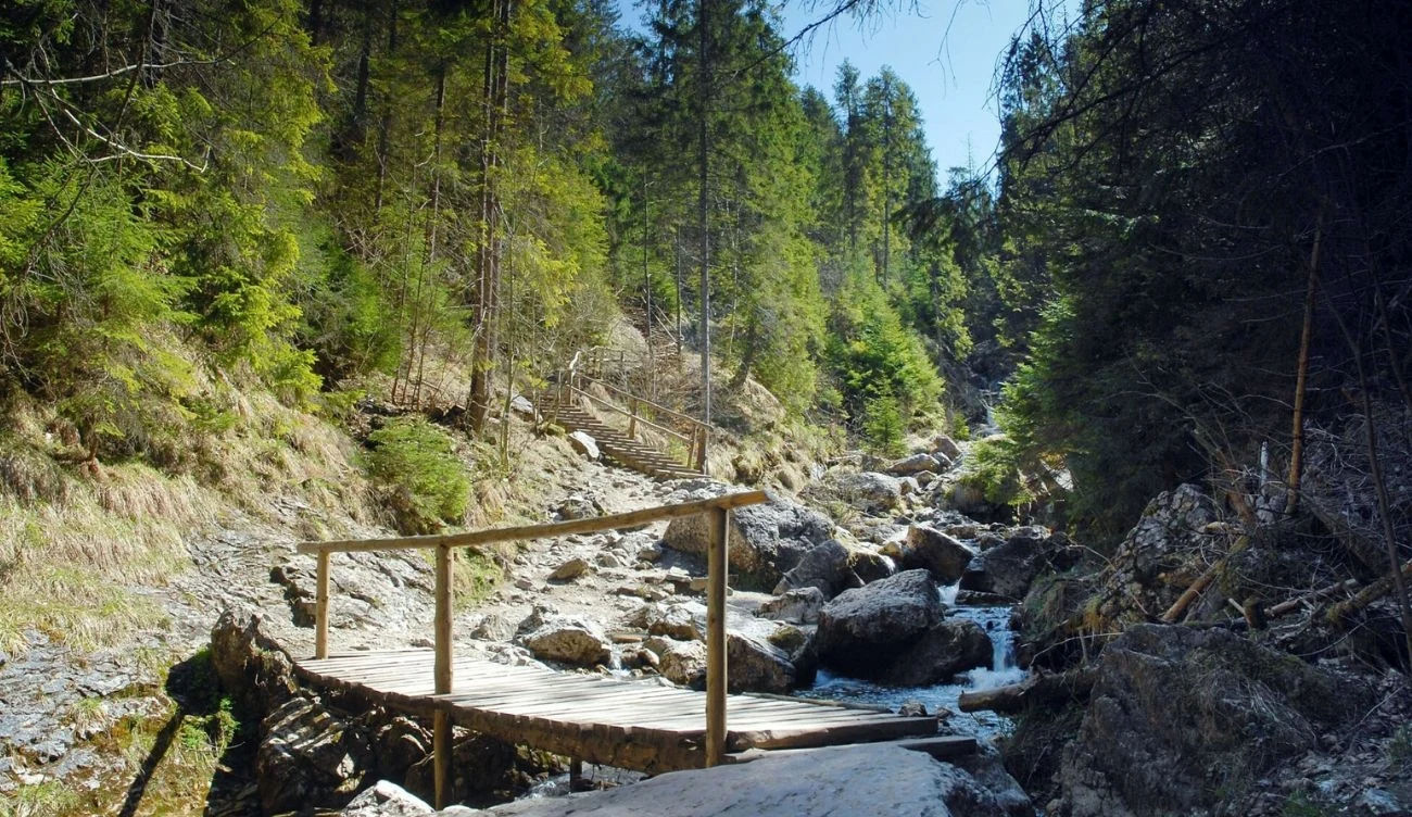 Wąwóz Homole to znakomite miejsce na jesienny spacer Wąwóz Homole to znakomite miejsce na jesienny spacer