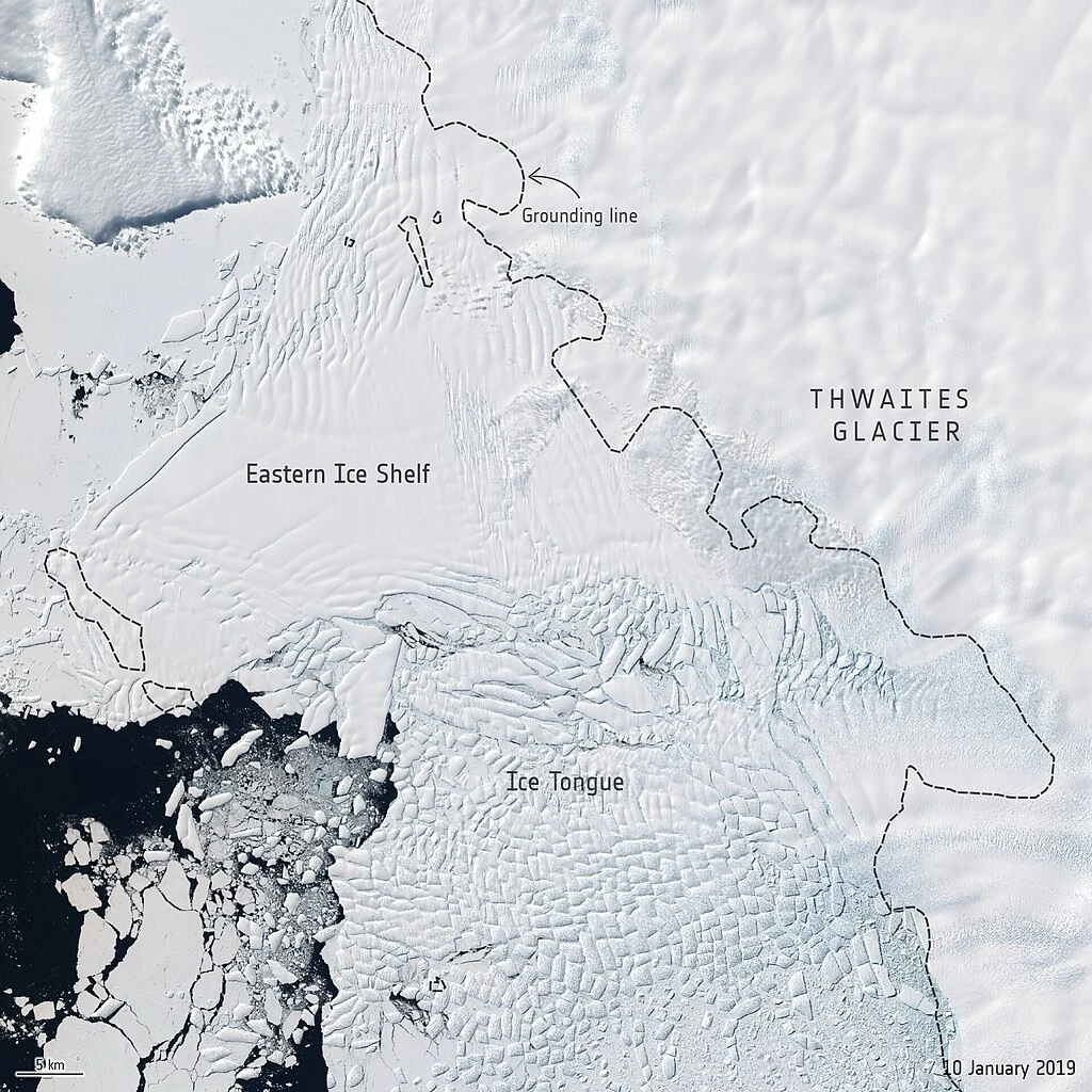Obszar pokrywy lodowej Thwaitesa wraz z podpisanymi elementami: Eastern Ice Shelf, Ice Tongue oraz tzw. grounding line, widoczne także fragmenty lodu oderwane od pokrywy lodowej, kontrastujące z ciemną taflą morza.