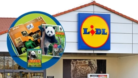 „Zwierzęta chronione” tylko w sklepach sieci Lidl