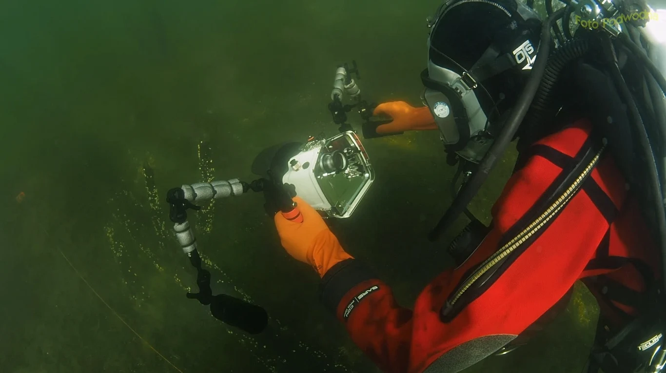 Stanowisko w Zatoce Puckiej jest tak ciekawe, że można by je badać jeszcze przez wiele lat. Nurek w specjalistycznym stroju podwodnym wykonuje zdjęcia lub nagrania za pomocą profesjonalnej kamery umieszczonej w wodoszczelnej obudowie, otoczony zielonkawą wodą oraz drobną roślinnością.