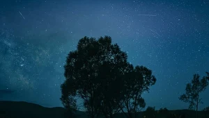 Tej nocy spójrz w niebo. Spadające gwiazdy wkrótce nad Polską