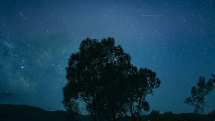 Drakonidy 2025 wkrótce rozbłysną nad Polską