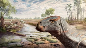 Nowy dinozaur w Europie. Naukowcy nigdy czegoś takiego nie widzieli