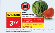 Arbuz