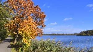 Malownicze trasy i lasy pełne grzybów. Spędź tutaj jesienny weekend