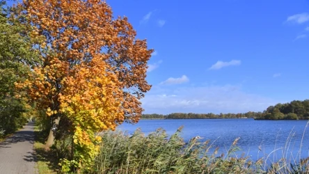 Idealne miejsce na weekendowy wypad. Z dala od miejskiego zgiełku i pełne atrakcji