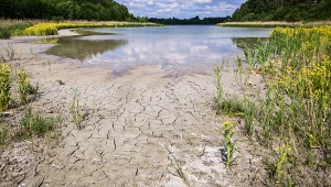 Jeziora, które znikną z mapy. Katastrofa ekologiczna w Wielkopolsce