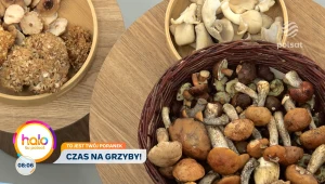 Grzyby pod lupą ekspertów. Fakty, mity i zagrożenia