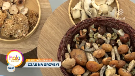 Grzyby pod lupą ekspertów. Fakty, mity i zagrożenia