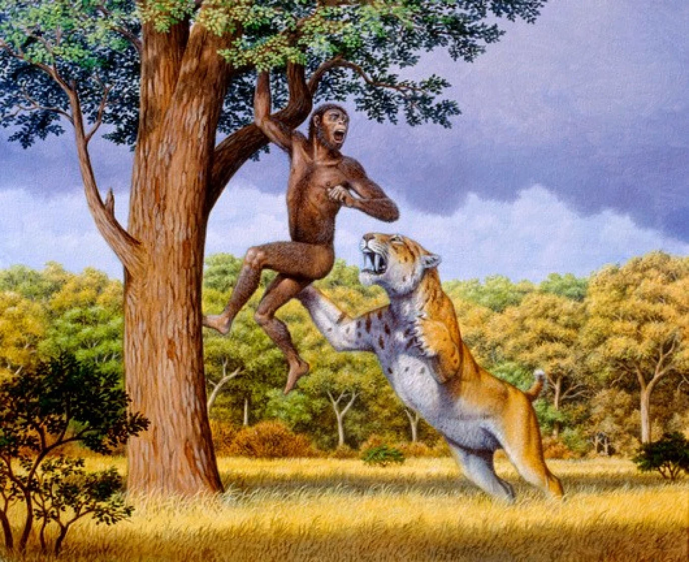 Prehistoryczny człowiek ucieka na drzewo przed atakującym tygrysem szablozębnym, w tle rozległy krajobraz sawanny oraz gęsta roślinność.