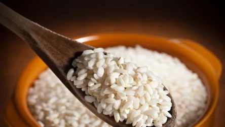 Ryż arborio jest włoską odmianą ryżu dodawaną do risotto