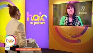 Maggie Reilly o "Moonlight Shadow" i "Everytime We Touch"