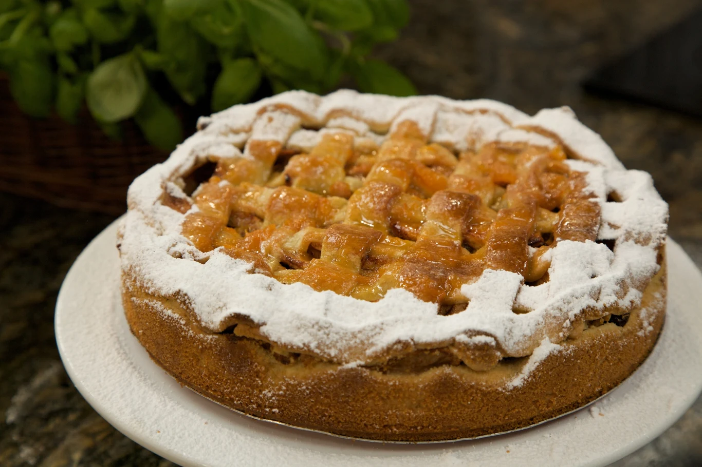 Szarlotka z kratką na kruchym cieście. Przepis Ewy Wachowicz Placek z kratką z kruchego ciasta przysypany cukrem pudrem, na białej paterze, w tle zielone liście rośliny.