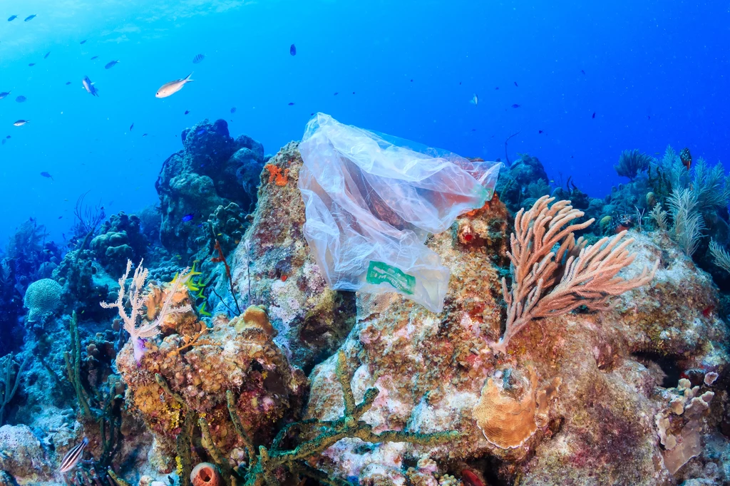 Plastikowa torba unosząca się nad rafą koralową wśród kolorowych koralowców i morskich ryb, co podkreśla problem zanieczyszczenia oceanów odpadami plastikowymi.