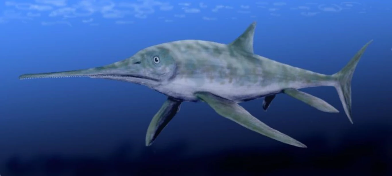 Eurinozaur musiał pływać także w polskich wodach Prehistoryczny morski gad z długim, wąskim pyskiem i opływowym ciałem, pływający w błękitnych wodach oceanu.