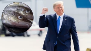 Donald Trump wprowadza nowy zakaz. "To wielkie zwycięstwo"