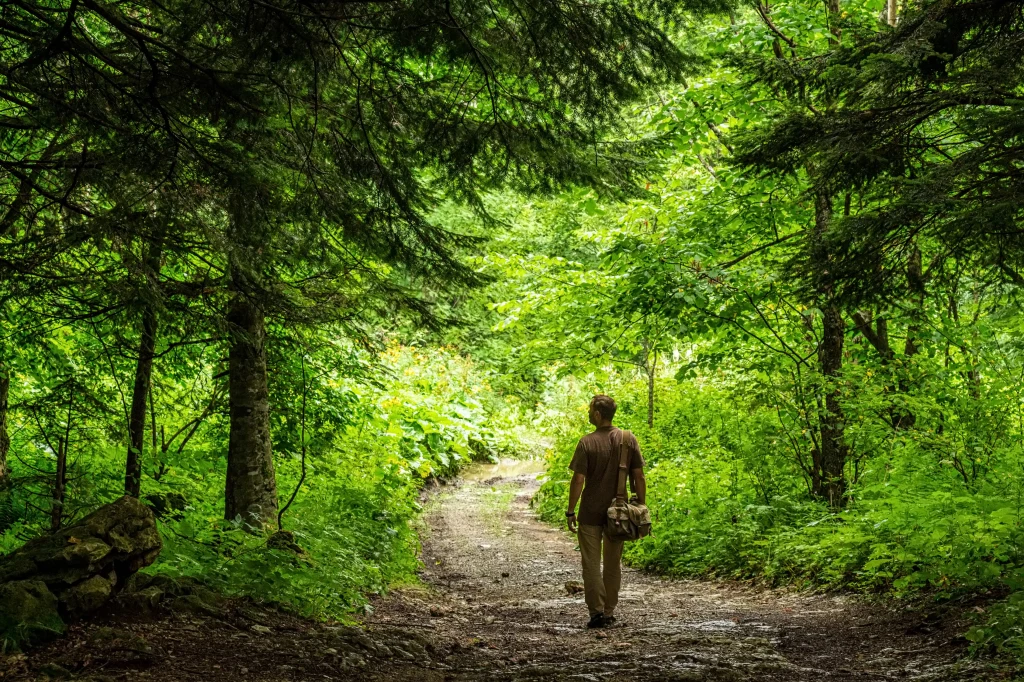 Osoba idąca leśną ścieżką otoczoną gęstą zielenią drzew i krzewów, z torbą przewieszoną przez ramię, w spokojnej atmosferze natury.