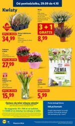 To sie opłaca! - Lidl