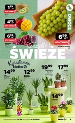 Tanie zakupy od poniedziałku - Netto