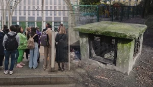 W Polsce wciąż brakuje miejsc schronienia