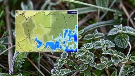 W Polsce zanotowano już nocne przymrozki. W weekend miejscami przy gruncie było -2 st. C. W poniedziałek dzień będzie chłodny i deszczowy