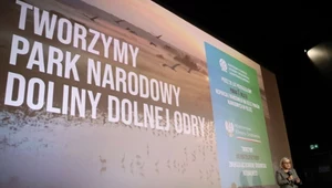 Pierwsza taka decyzja od ponad 20 lat. Tutaj powstaje nowy park narodowy