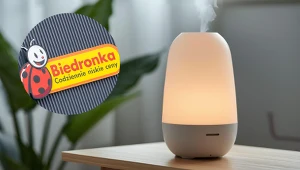 Sucho w mieszkaniu? Ten nawilżacz z Biedronki pomoże i pięknie pachnie!