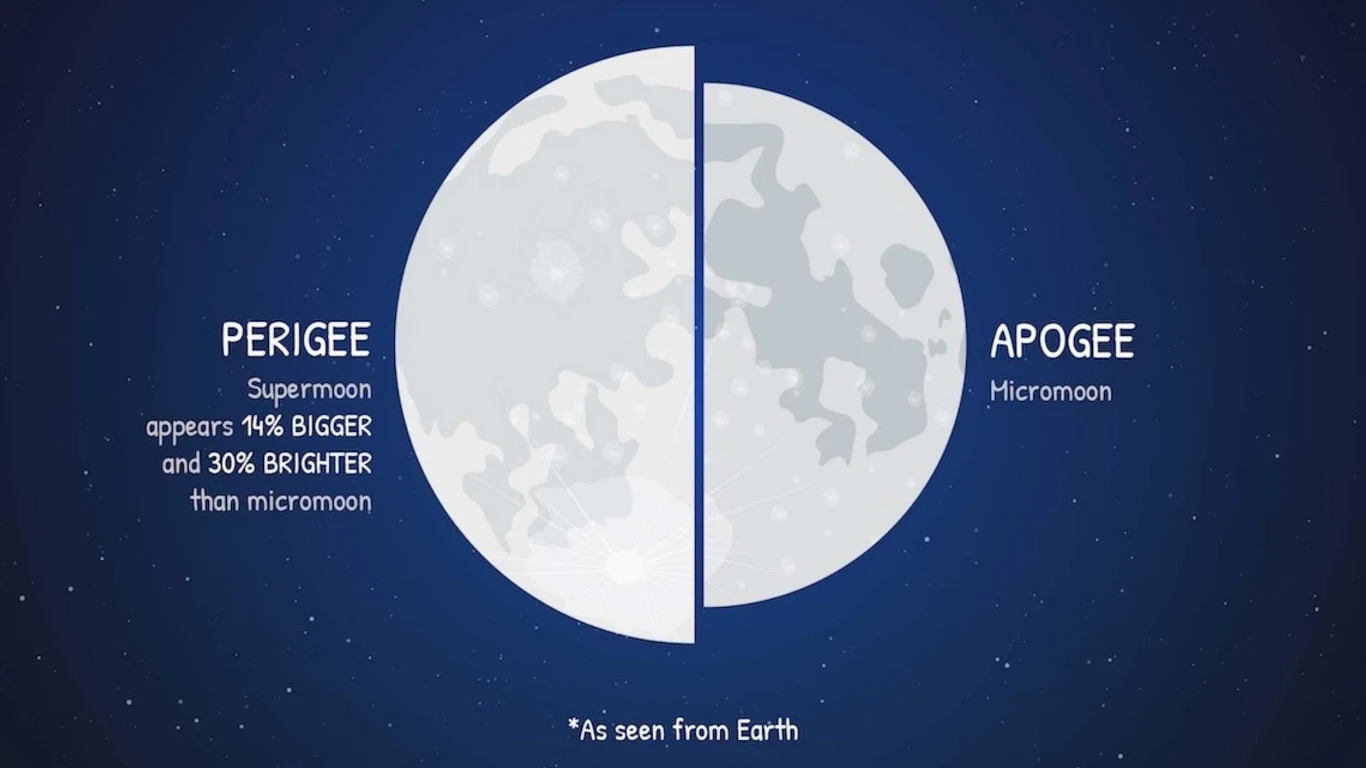Różnice między Superksiężycem a pełnią w apogeum. Po lewej stronie księżyc w perygeum oznaczony jako superksiężyc, który jest o 14% większy i 30% jaśniejszy niż mikromoon po prawej stronie będący w apogeum, podział ilustruje różnicę widoczną z Ziemi.