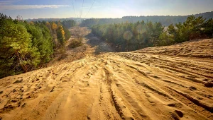 Niezwykłe miejsce na Śląsku. Wydmy sięgają tu nawet 30 metrów