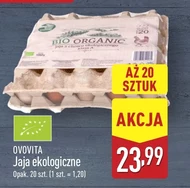 Jaja Ovovita