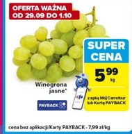 Winogrona