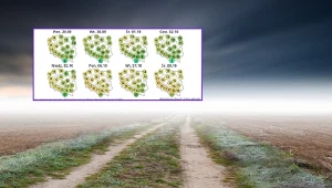 Chłodno za dnia, mroźnie w nocy. To nie będzie przyjemny tydzień