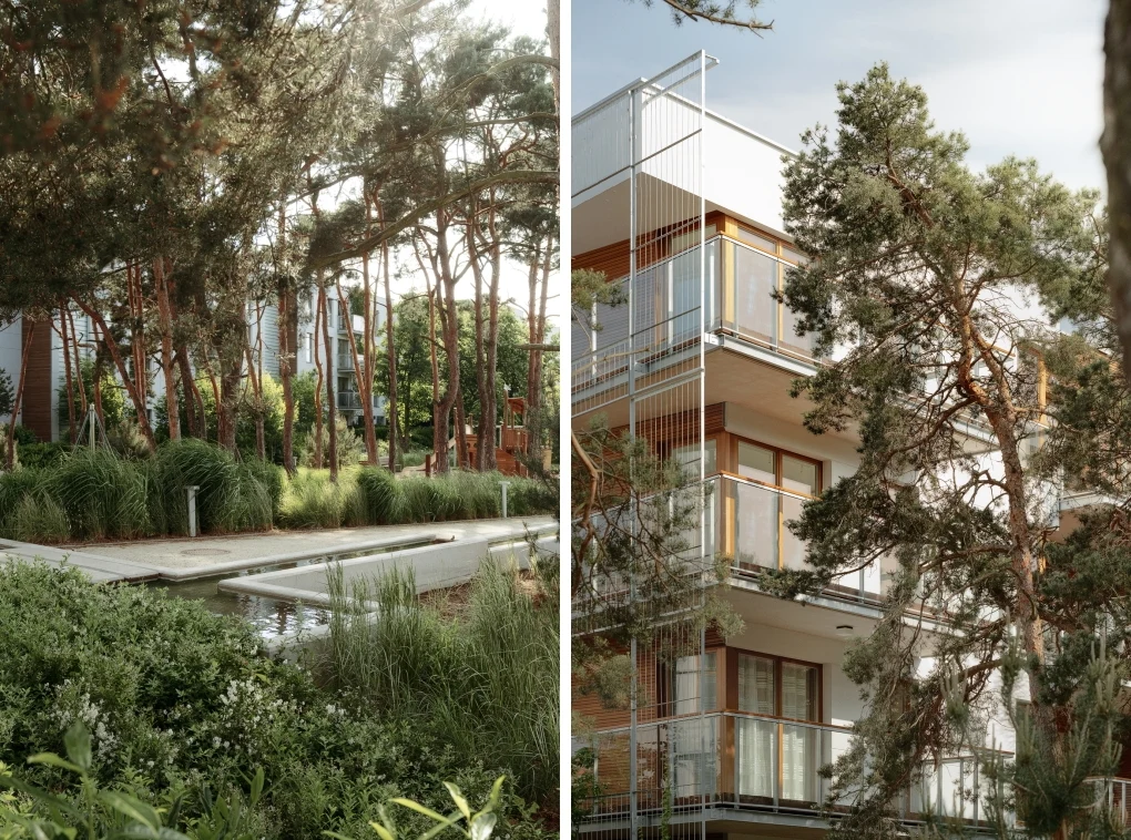 Nowoczesne budynki mieszkalne otoczone wysokimi sosnami i bujną roślinnością, z wyraźnie widocznymi balkonami oraz przestrzenią rekreacyjną pomiędzy domami.