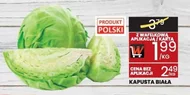 Kapusta biała Polski