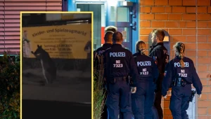 Kangur na ulicach Berlina. Policja nie zdołała schwytać torbacza, jest apel do mieszkańców