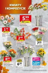 Wielkie przeboje cenowe - Auchan