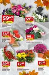 Wielkie przeboje cenowe - Auchan